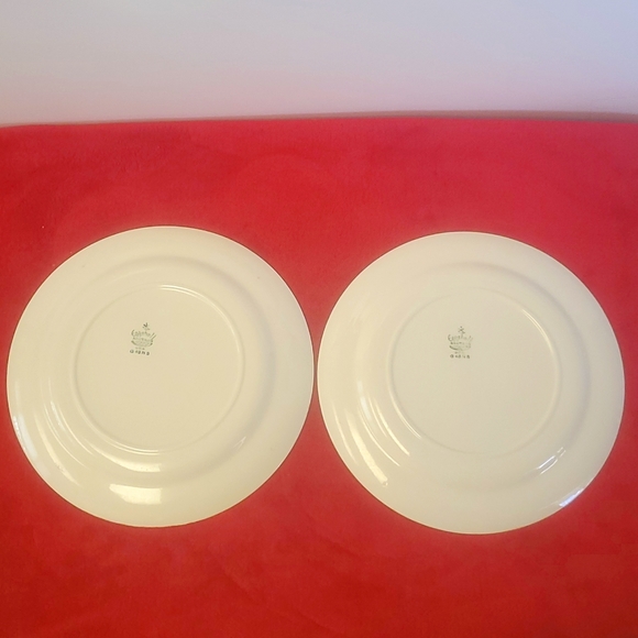 2 piece of Eggshell Nautilus Dinner Plates, USA. G48N5 - Picture 6 of 8